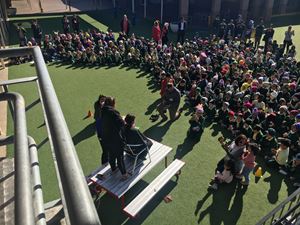 IMG_2029