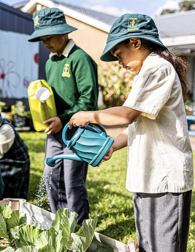 Student watering garden at St Aidan's Catholic Primary School Rooty Hill