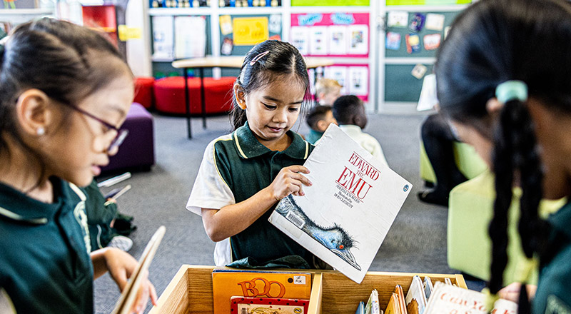 Student at St Aidan's Catholic Primary School Rooty Hill library