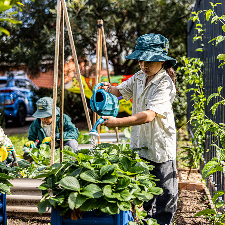Student watering garden at St Aidan's Catholic Primary School Rooty Hill