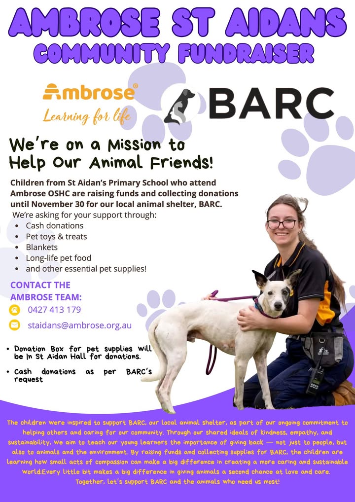 666933411890600_1328670392383562-1