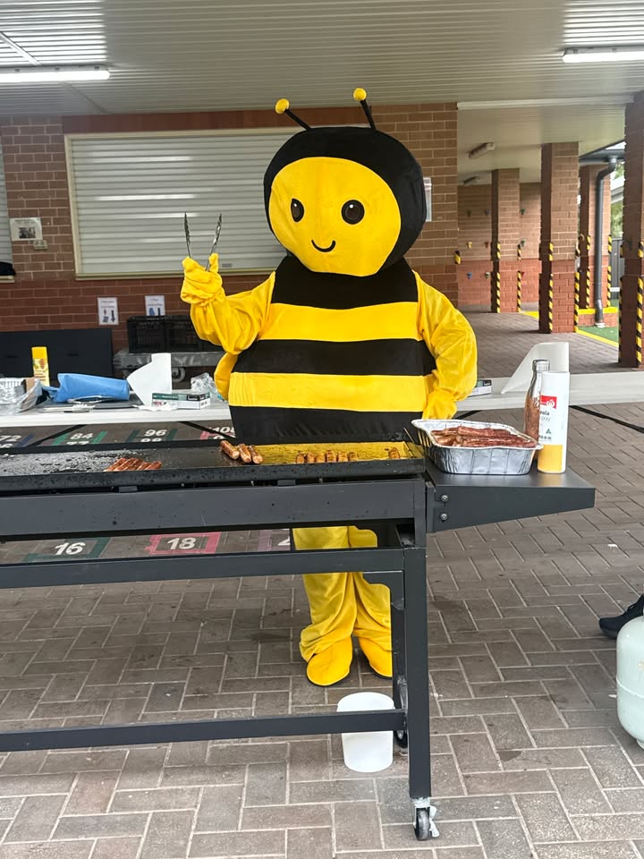 666933411890600_1418684146715519-1