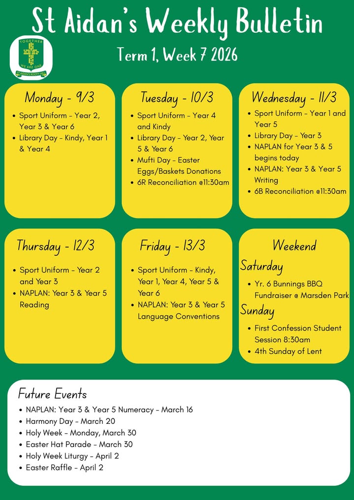 666933411890600_1419999366583997-1