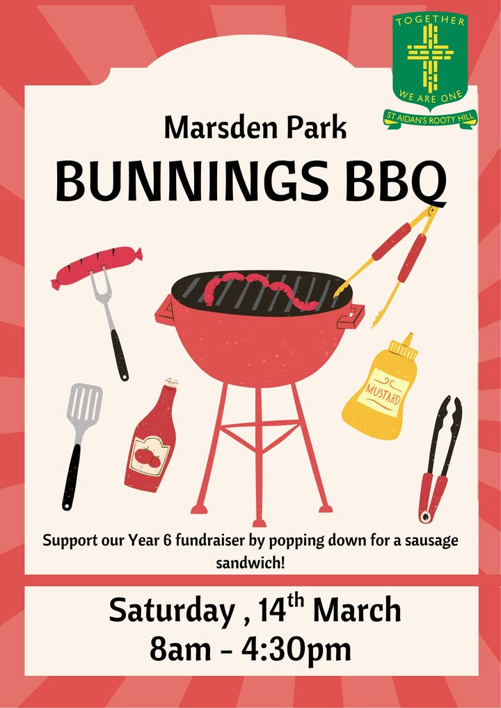 666933411890600_1423945232856077-1