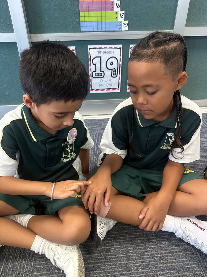 666933411890600_1440174534566480-1