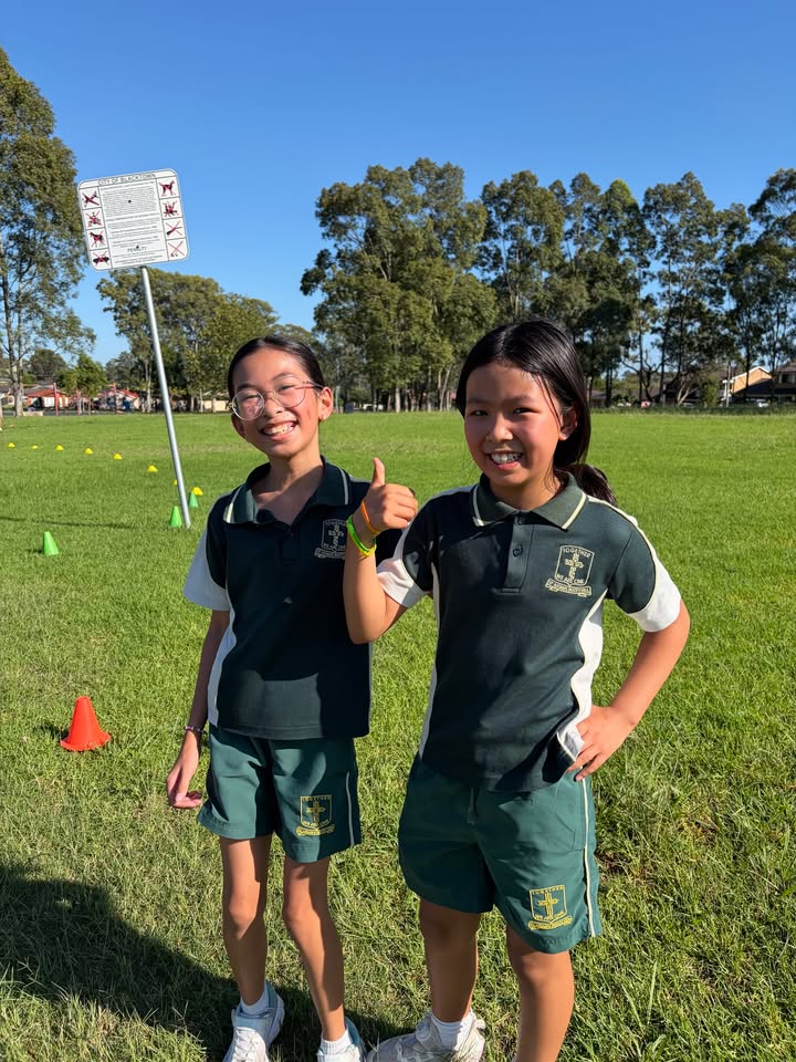 666933411890600_1457947322789201-1